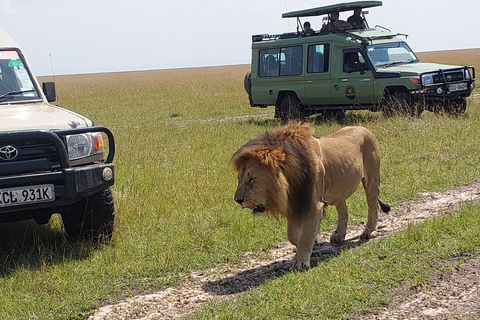 Nairobi: 3-Day Amboseli and Tsavo East Safari with Meals