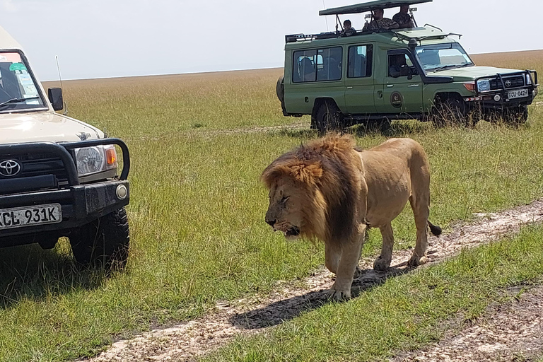 Nairobi: 3-Day Amboseli and Tsavo East Safari with Meals