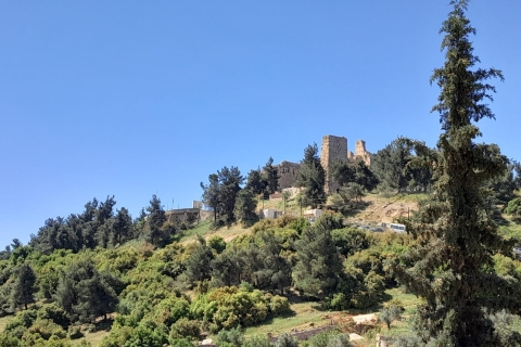 Von Amman aus: Private Jerash, Ajloun Castle und Umm Qais TourJerash und die Burg von Ajloun (7-stündige Tour)