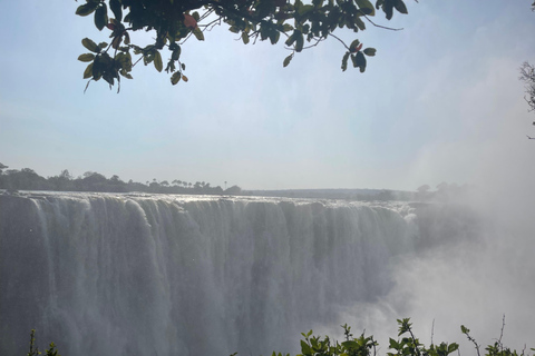 Victoria Falls: Guided Walking Tour with Local Female Guide