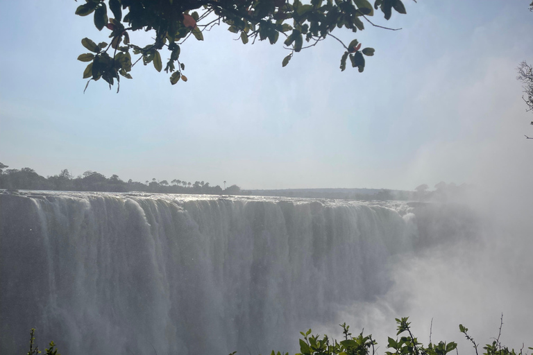 Victoria Falls: Guided Walking Tour with Local Female Guide