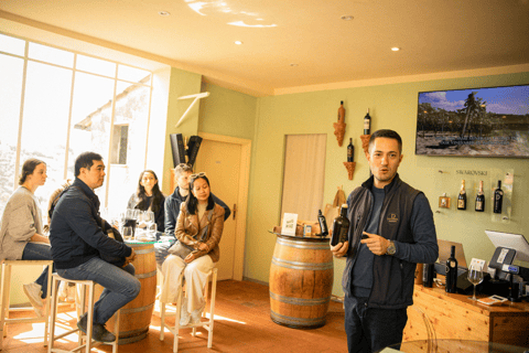 Florence: Chianti Fiat E-Car Tour with Wine Tasting & Lunch Topolino E-Car – Double Driver