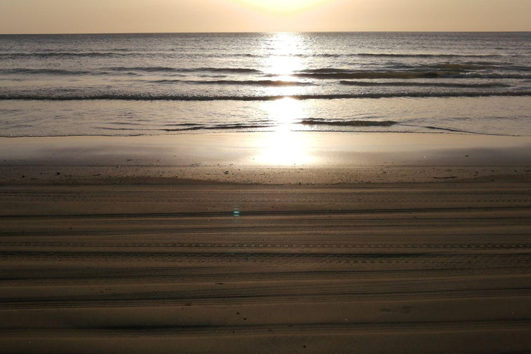 Kanazawa: Beach Drive and Mochi-Making Experience