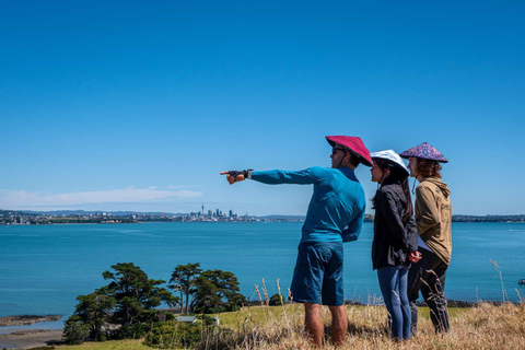 Excursión al Campo Volcánico de Auckland