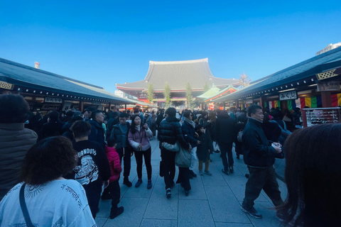 Tokyo Private Luxury City Tour with Professional Guide