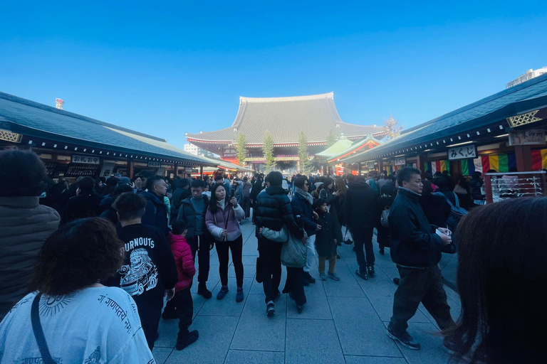 Tokyo Private Luxury City Tour with Professional Guide