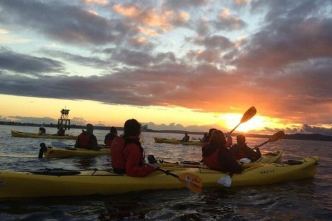 Seattle: West Seattle Sunset Sea Kayak Tour