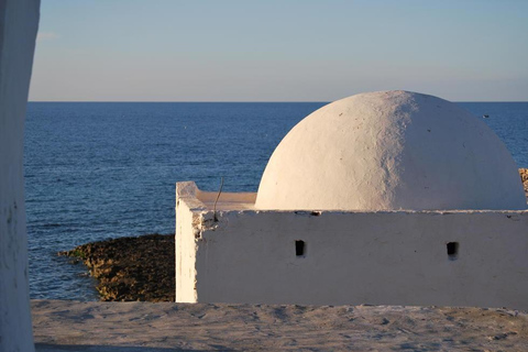 From Zarzis: Djerba Culture and Heritage Day Trip with Lunch