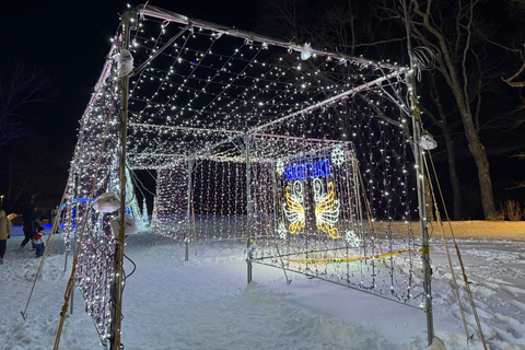 From Sapporo: Lake Shikotsu Ice Festival & Illumination Tour