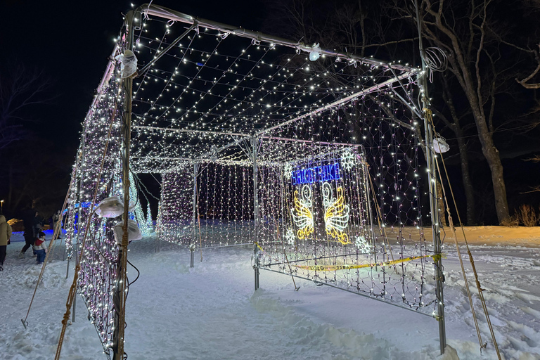 From Sapporo: Lake Shikotsu Ice Festival & Illumination Tour
