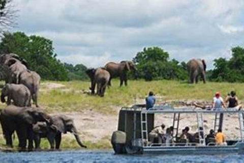 Victoria Falls: Chobe National Park Day Trip with Lunch