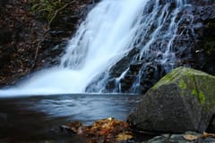 Ab Tokio: Historisches Nikkō – Welterbe-Tagestour, private Tour