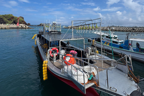 Chagwido Boat Fishing, Dolphin Watching with Local Lunch