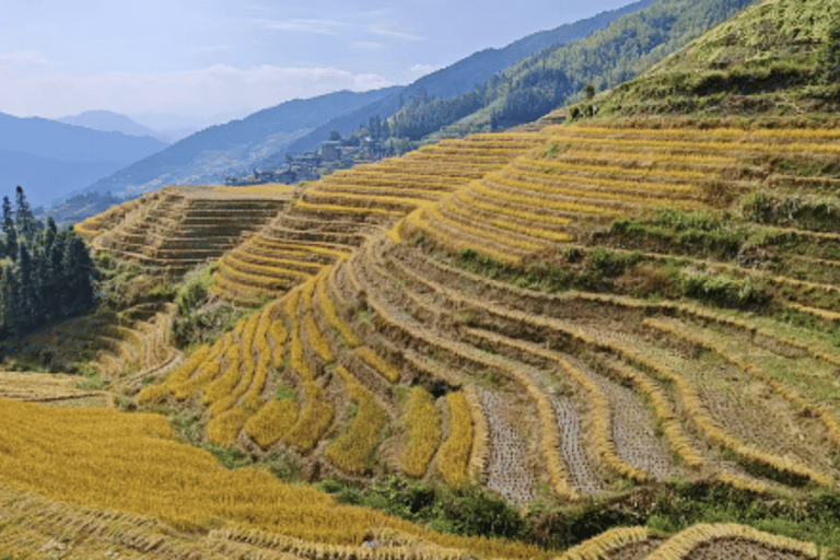 Guilin: Longji Rice Terraces & Yao Village Day Trip