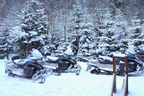 Bucharest: Carpathian Mountains Snowmobile Tour Sinaia