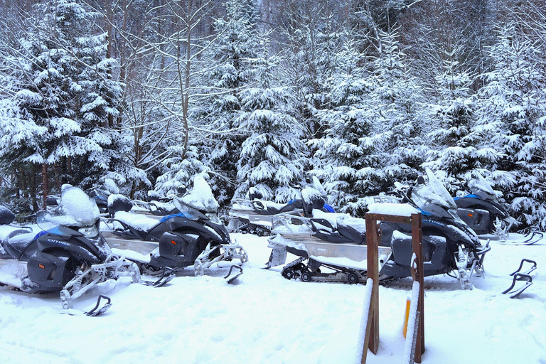 Bucharest: Carpathian Mountains Snowmobile Tour Sinaia