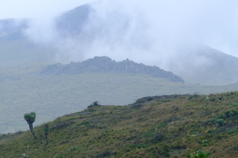 Aberdare National Park: Mount Satima Overnight Hike