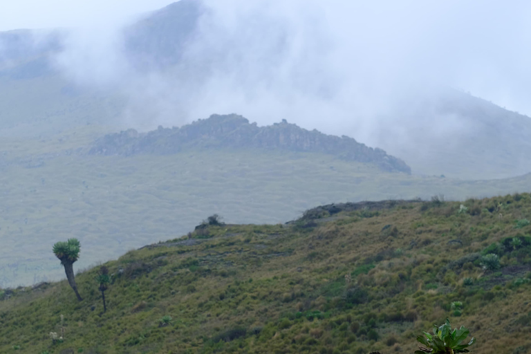 Aberdare National Park: Mount Satima Overnight Hike