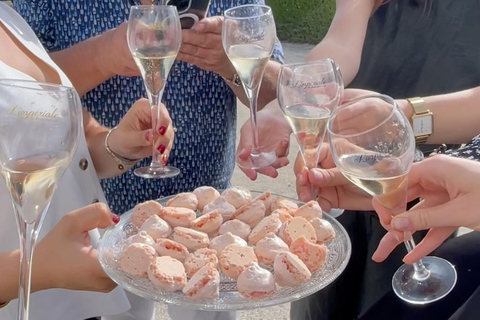 Epernay : Balade Privée en Bus Impérial à Travers les Vignes de ChampagneBalade Privée de 3 heures