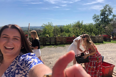Spring Time Vineyards Milan’s Perfect Wine Tasting & Lunch