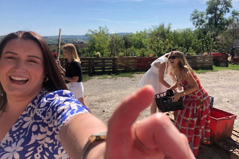 Spring Time Vineyards Milan’s Perfect Wine Tasting & Lunch