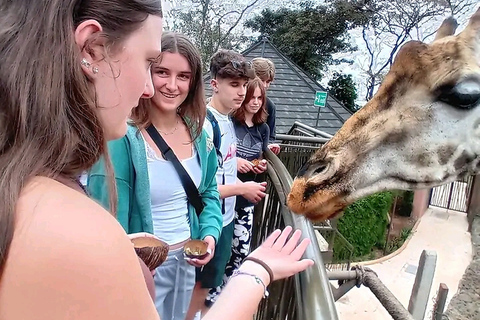 Sheldrick orphanage,Giraffes centre and Bomas Free Tour Sheldrick animal orphanage Tour.