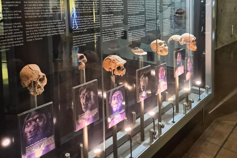 Johannesburg: Cradle Of Humankind & Fossil Discovery Tour