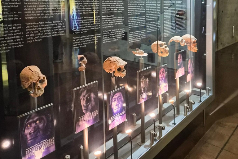 Johannesburg: Cradle Of Humankind & Fossil Discovery Tour