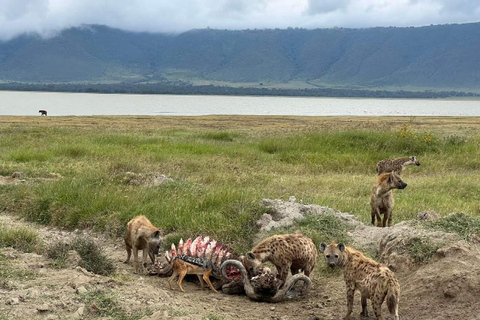 3-dagars safari Zanzibar till Nyerere Park med båt, bil och flyg