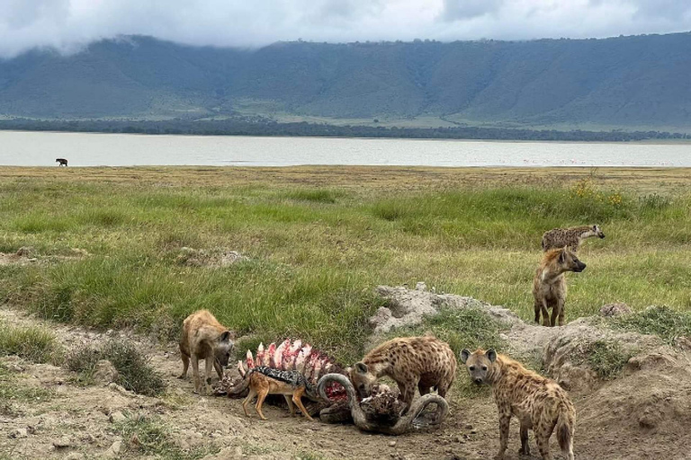 3-dagars safari Zanzibar till Nyerere Park med båt, bil och flyg