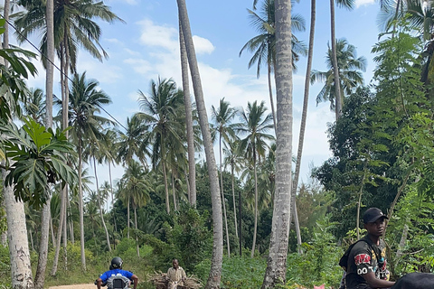 Zanzibar: Zenji ATV-tur