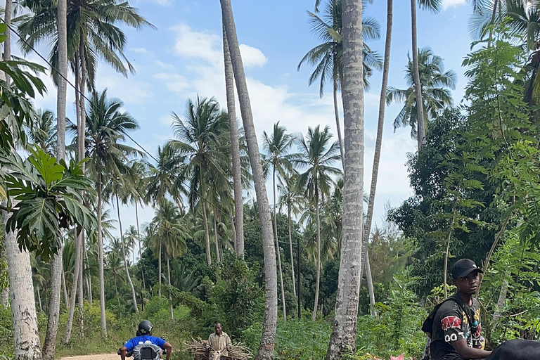 Zanzibar: Zenji ATV-tur
