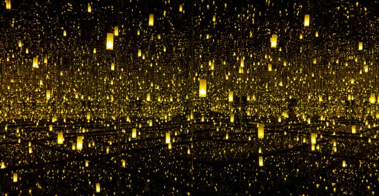 The Museum of Fine Arts, Houston Entry Ticket photo 8