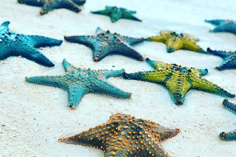 ZANZIBAR: Las Jozani, jaskinia Salaam, The Rock i Blue LagoonWYCIECZKA PRYWATNA BEZ ODBIORU Z HOTELU I TRANSPORTU POWROTNEGO