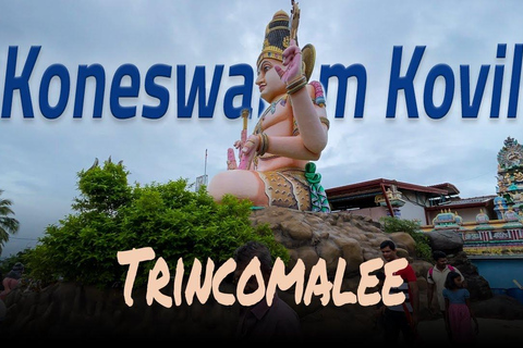 Sri Lanaka : Tour di 2 giorni a Trincomalee con alloggio