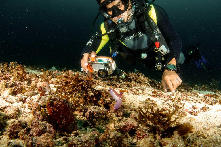 Diving in Boracay: Fundive for Certified Divers