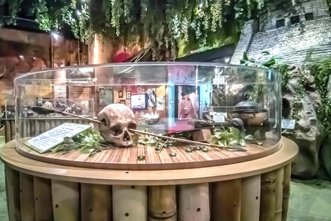 Cancun : Bus en bus à arrêts à arrêts multiples et attractions multiplesCancun : Visite à arrêts multiples de la ville et roue d'observation du ciel