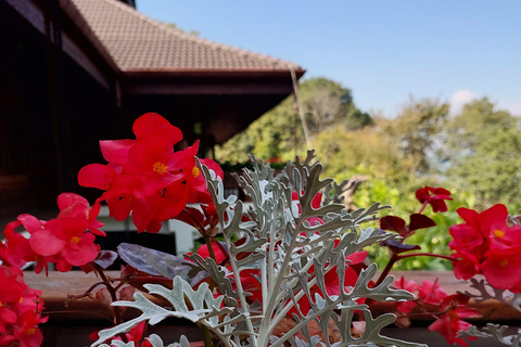 Chiang Rai: Mountains Discovery Doi Mae Salong & Doi Tung Mountains Discovery:Doi Mae Salong & Doi Tung (Private Tour)