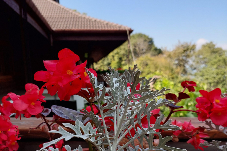 Chiang Rai: Mountains Discovery Doi Mae Salong & Doi Tung Mountains Discovery:Doi Mae Salong & Doi Tung (Private Tour)