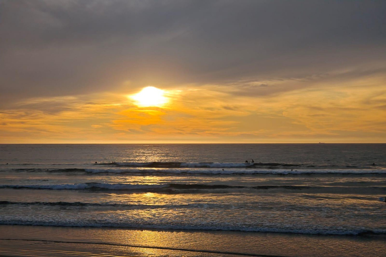 From Valparaíso: Concón Birdwatching & Sunset SUP Tour