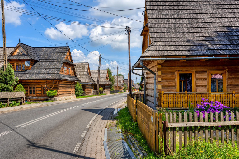 Kraków: Zakopane, Tatra termiska pooler och lokal provsmakning