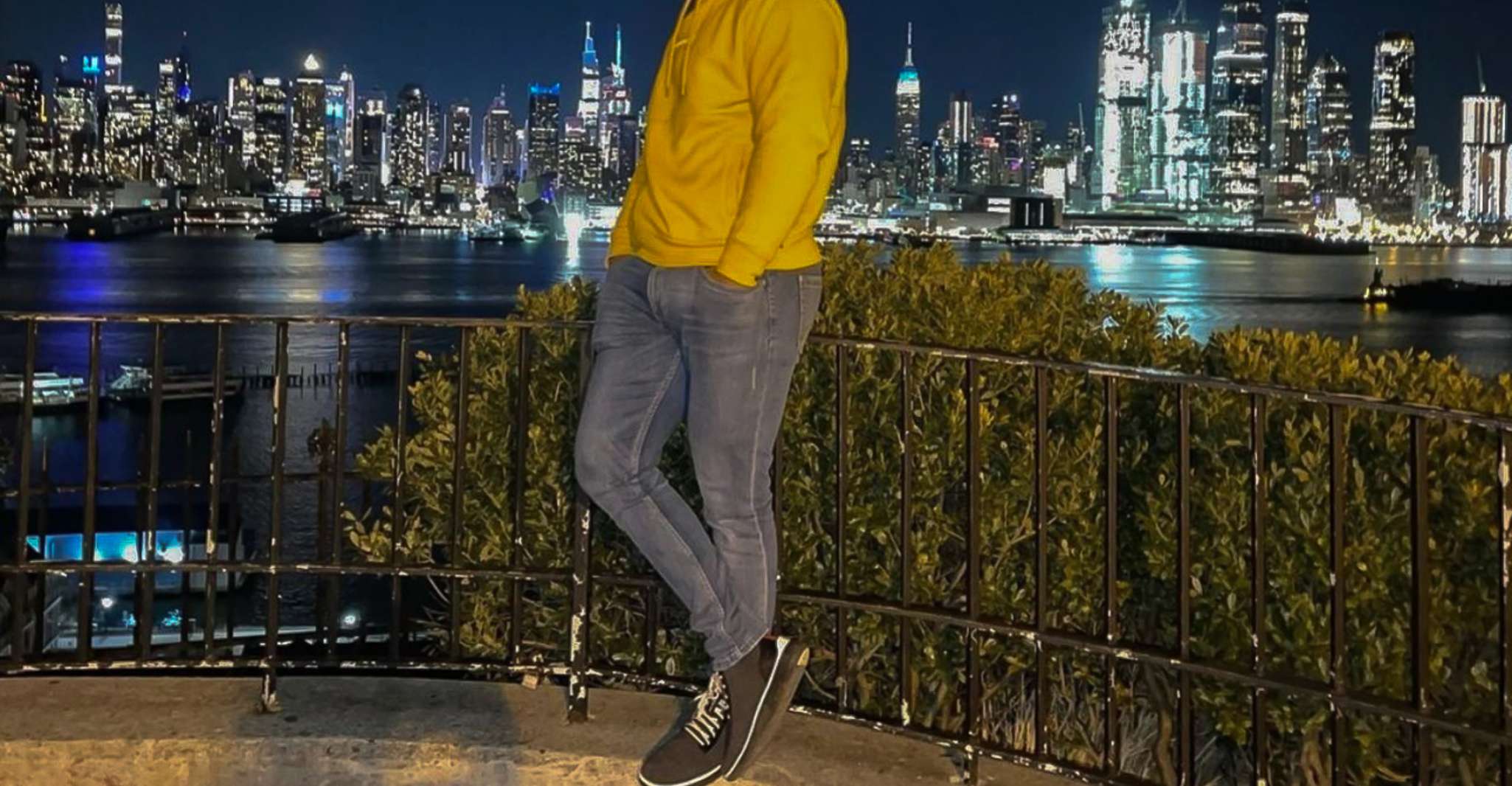 Excursão noturna panorâmica em Nova York Brooklyn & Hamilton Park - Hizvo
