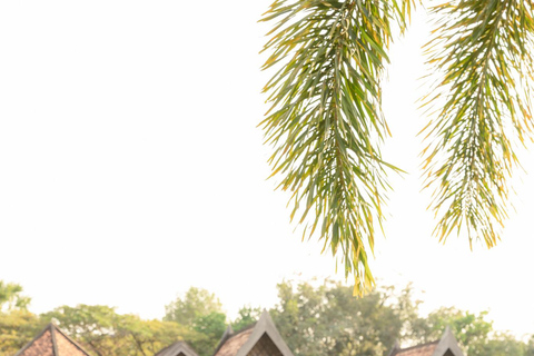 Siem Reap:Angkor Wat Photoshoot ❤️ Wedding birthday Angkor Wat: Wedding Anniversary Shooting