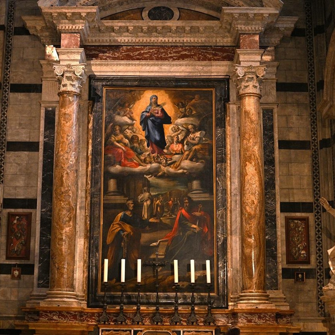 Galerie média