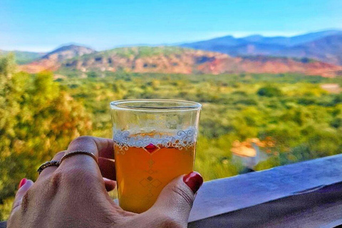 Marrakech to Ourika Valley-Scenic Day Tour Lunch & Waterfal Day trip outside Marrkech to big atlas mountain