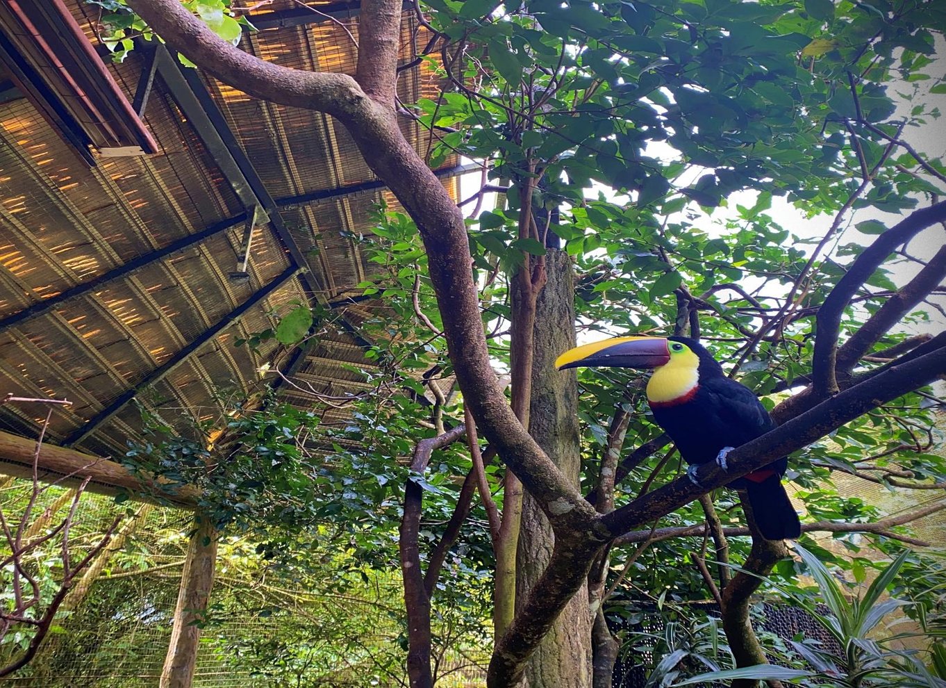 La Paz Waterfall Gardens dagsbillet