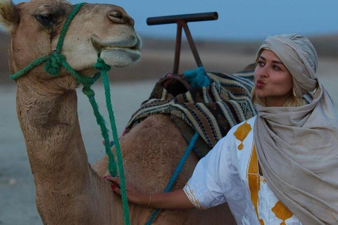 Marrakech: Agafay Desert Quad-and-Camel Safari & Dinner Show Marrakech: Agafay Desert Safari, Quad, Camel & Dinner Show