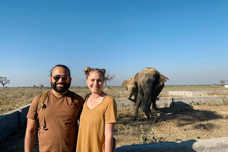 Da Agra: visita al viaggio di conservazione degli elefanti SOS Wildlife