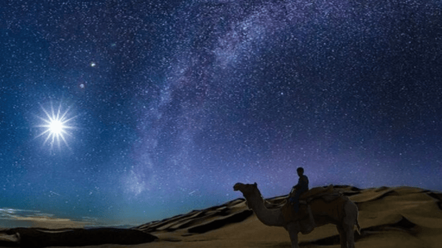 From Doha: Night Desert Safari Stargazing & Camel Ride