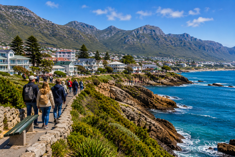 Cape Town: Whale Watching & Penguin Coastal Tour